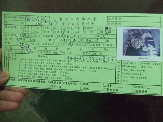 圖檔