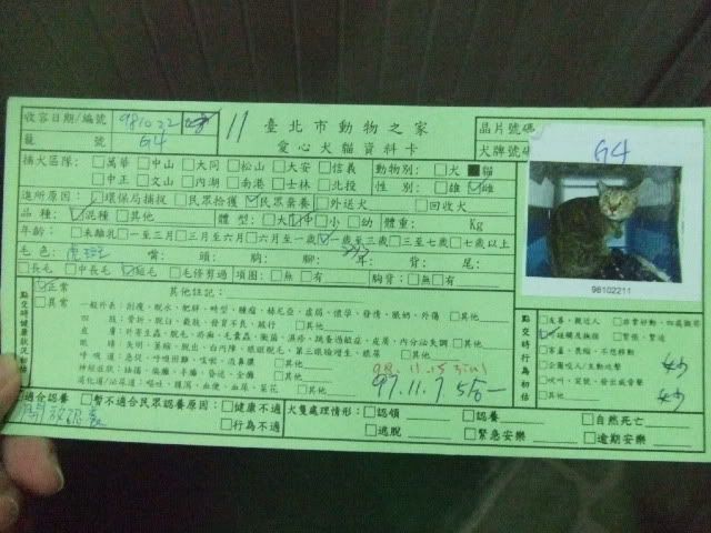 圖檔