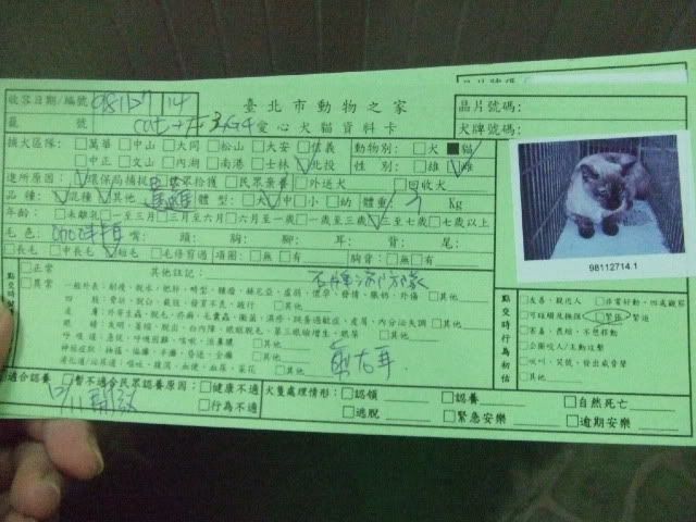 圖檔