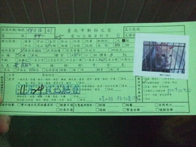 圖檔