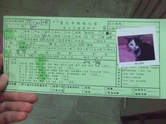 圖檔