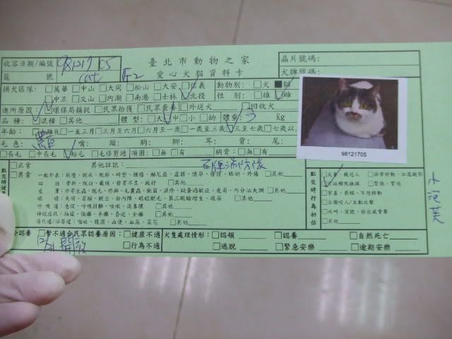 圖檔