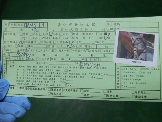 圖檔