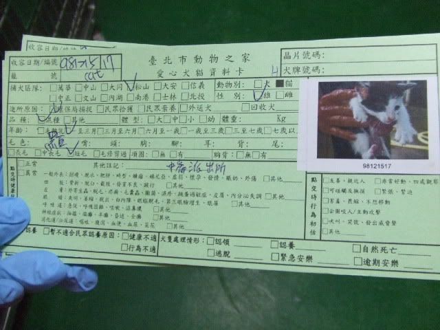 圖檔
