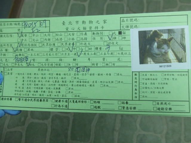 圖檔