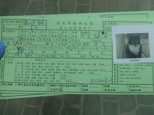 圖檔
