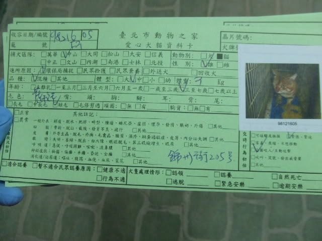 圖檔