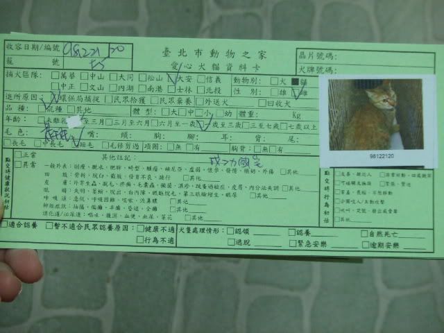 圖檔