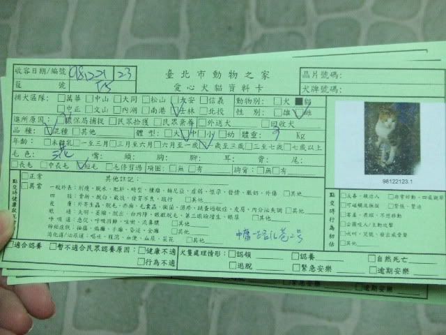 圖檔
