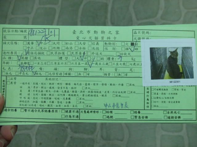 圖檔