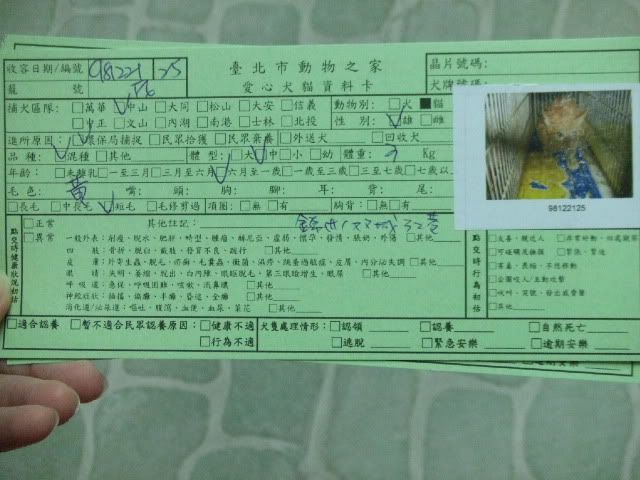 圖檔