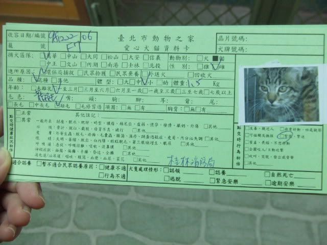 圖檔