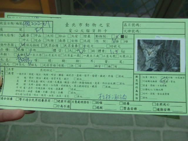 圖檔