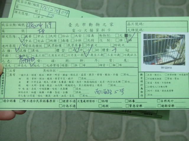 圖檔
