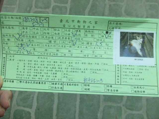 圖檔