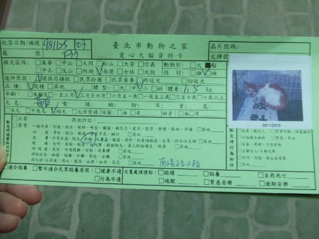 圖檔