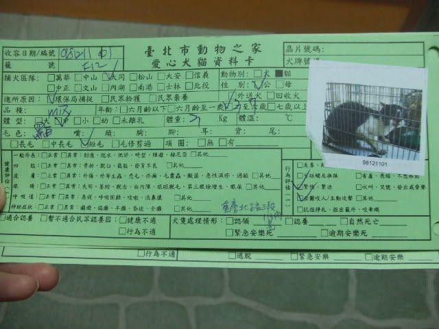 圖檔