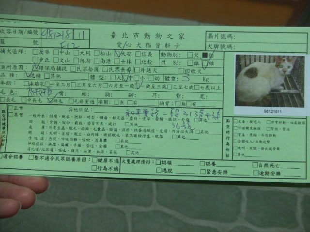 圖檔