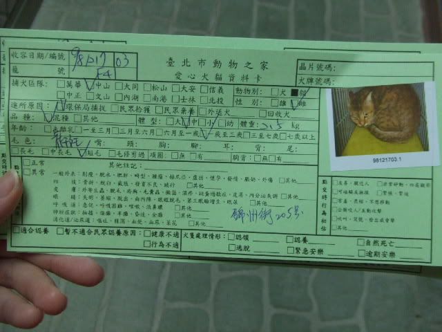 圖檔
