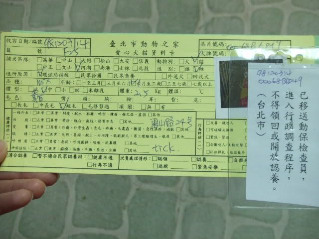 圖檔