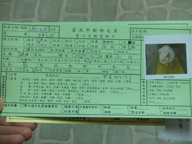 圖檔