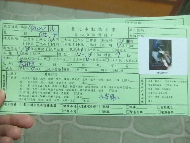 圖檔