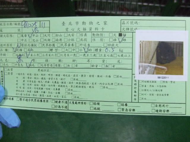 圖檔