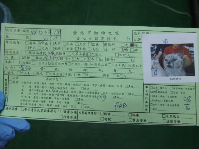 圖檔