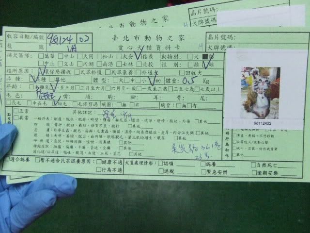 圖檔