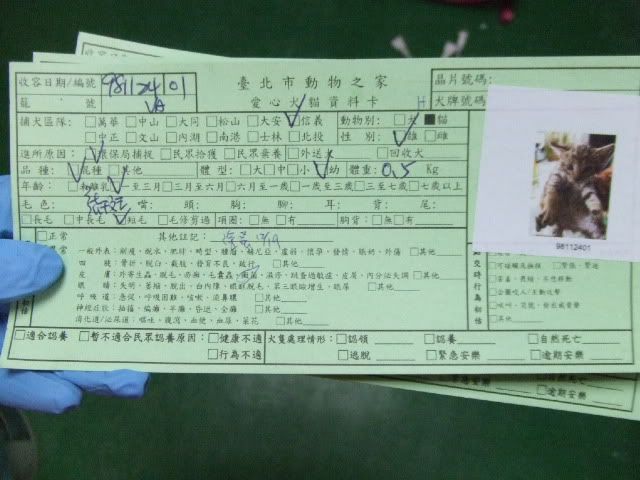 圖檔