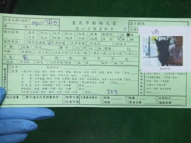 圖檔