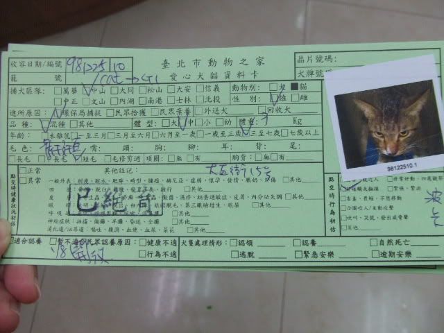 圖檔