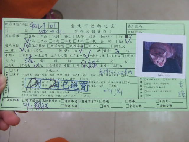 圖檔