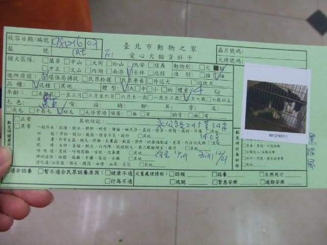 圖檔