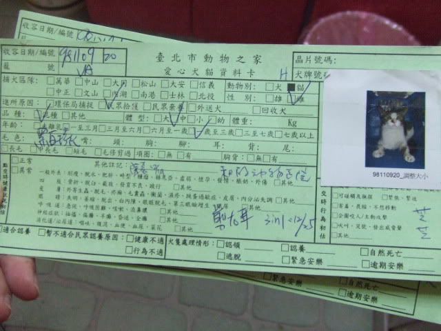 圖檔