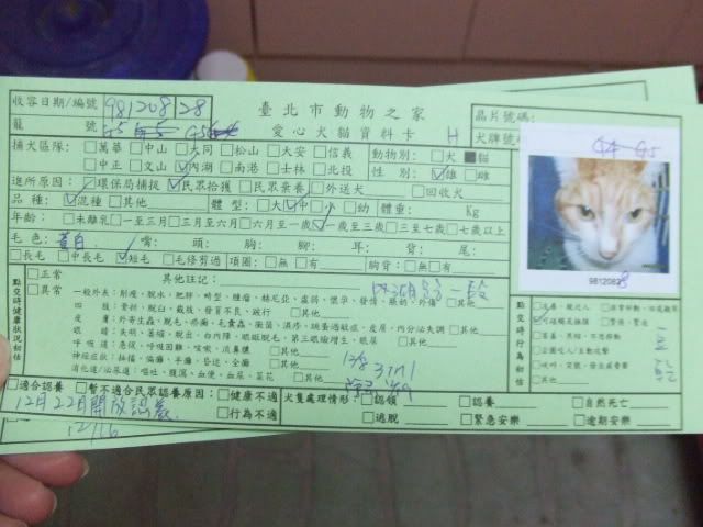 圖檔
