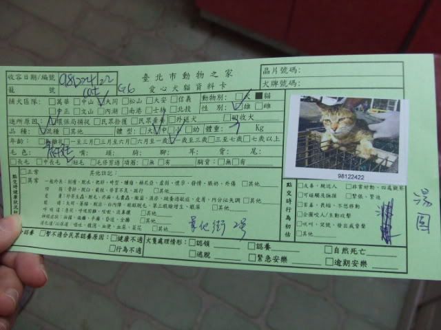 圖檔