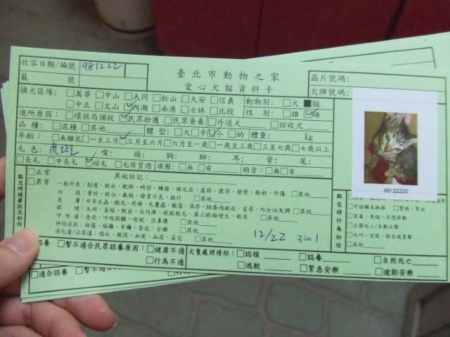 圖檔