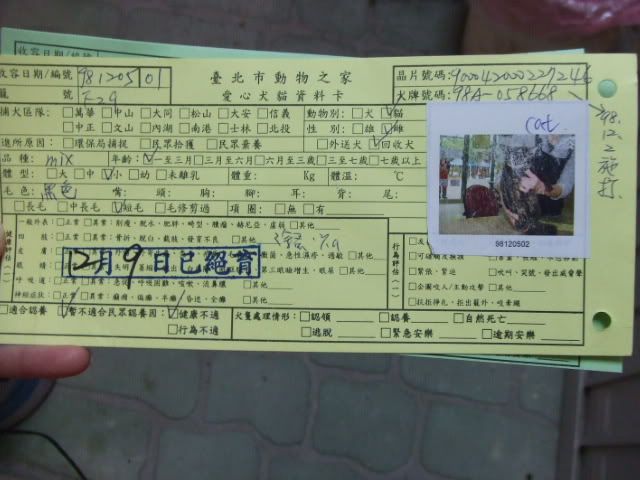 圖檔