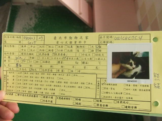 圖檔