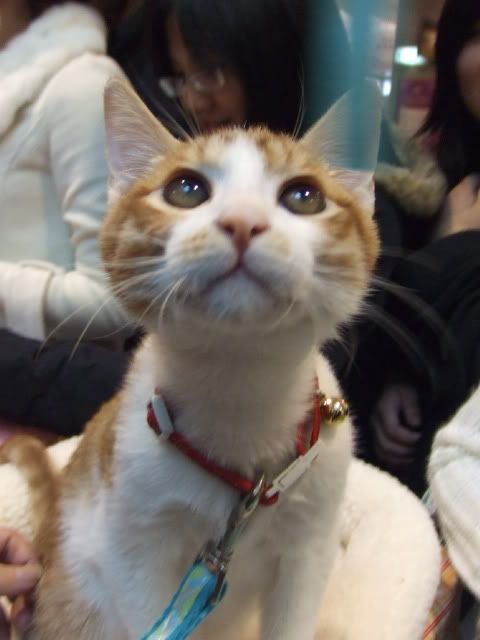 圖檔