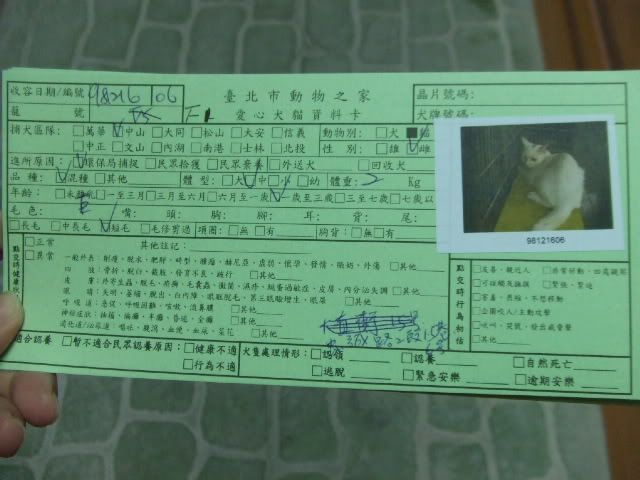 圖檔