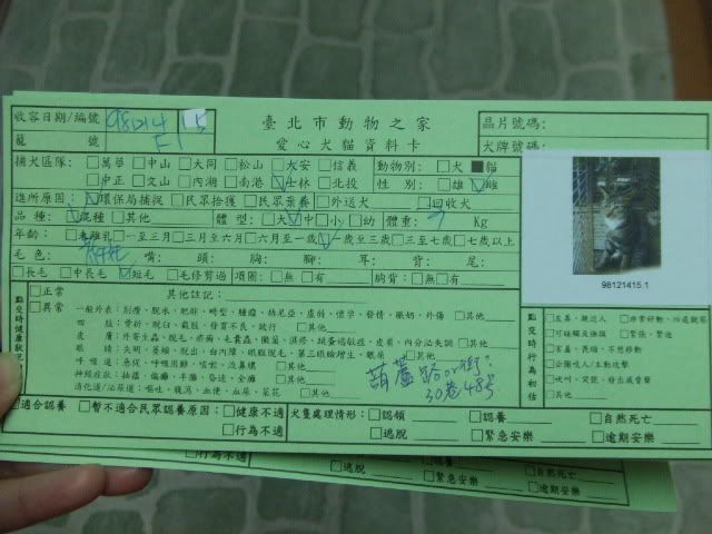 圖檔