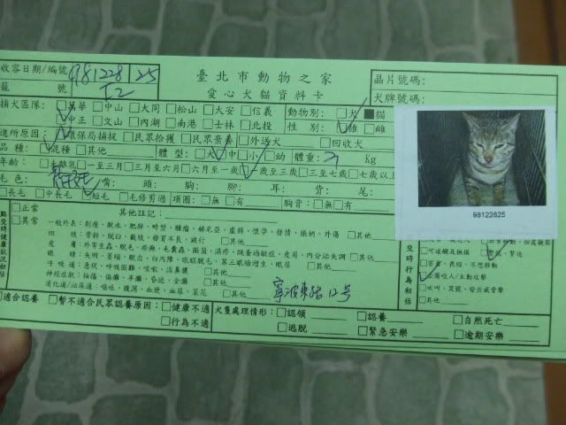 圖檔