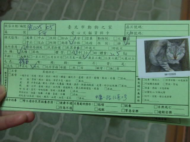 圖檔