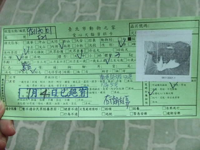 圖檔