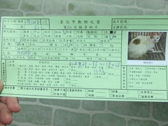 圖檔