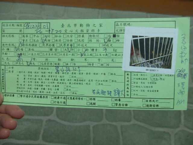圖檔