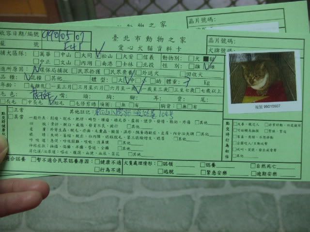 圖檔