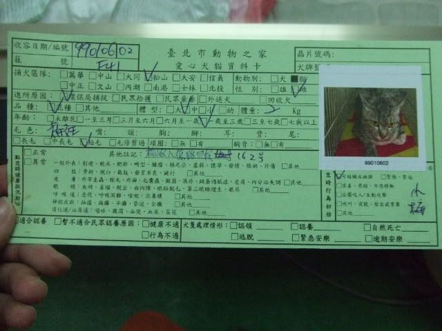 圖檔